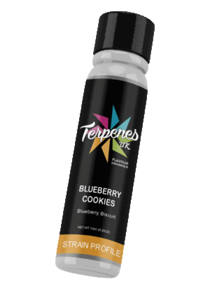 Blueberry Cookies