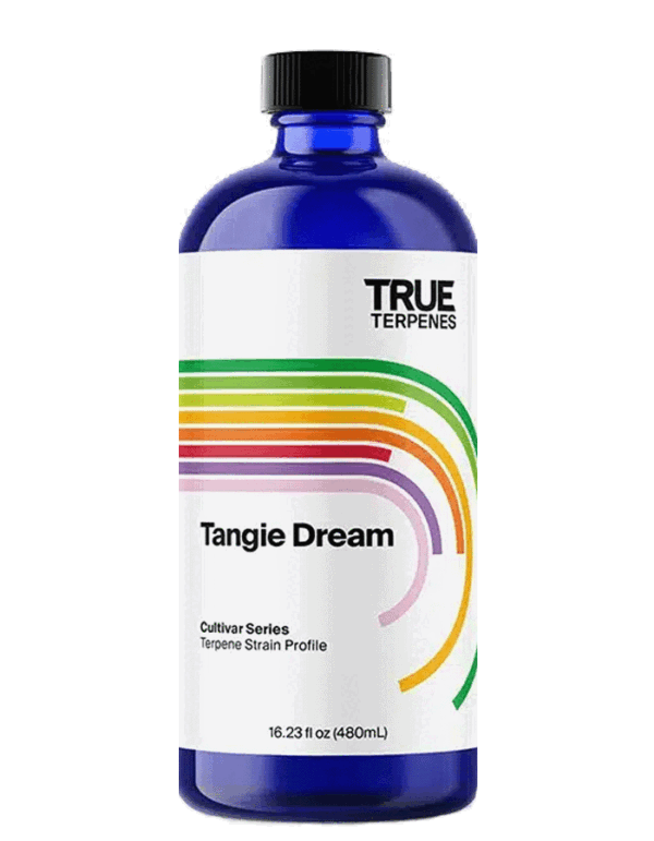 Tangie Dream